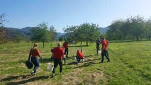 Koehler trainees work for a good cause