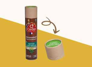 Cap for aerosol cans made of 100% cardboard and paper
