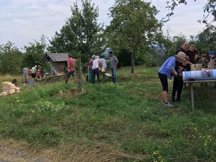 Koehler gets involved