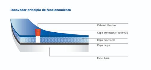 Estructura de los papeles térmicos Blue4est® 