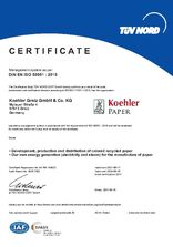 DIN EN ISO 50001:2018 Greiz