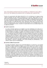 Declaración de principios de acuerdo al párrafo 6 sección 2 de la ley de debida deligencia de la cadena de suministro