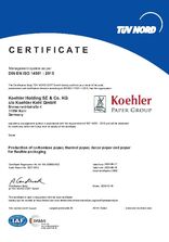 DIN EN ISO 14001:2015 Kehl