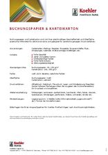 Datenblatt Buchungspapier &amp; Karteikarton